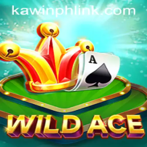 Discovering the Adventure in WildAce: Rules, Gameplay, and Insights